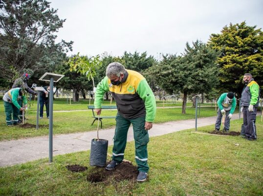 Proyectan plantar 16 mil árboles durante 2021 en la Ciudad de Buenos Aires