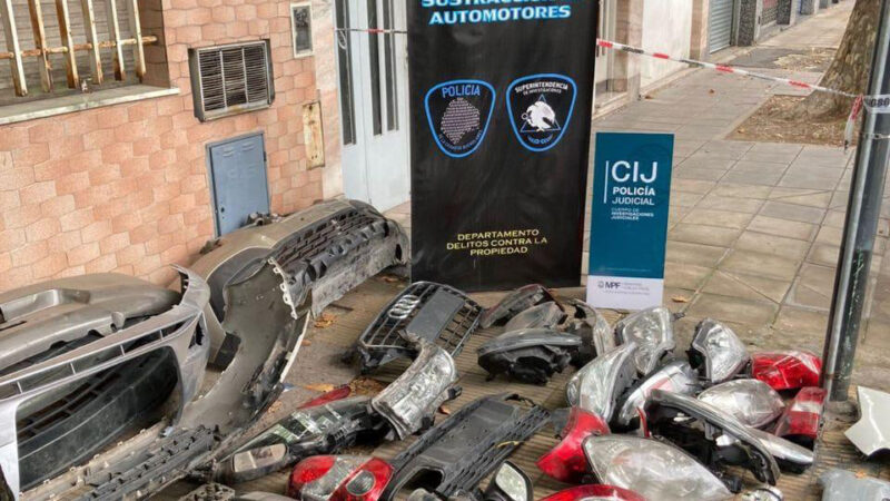 Parque Avellaneda: Desbarataron un desarmadero ilegal