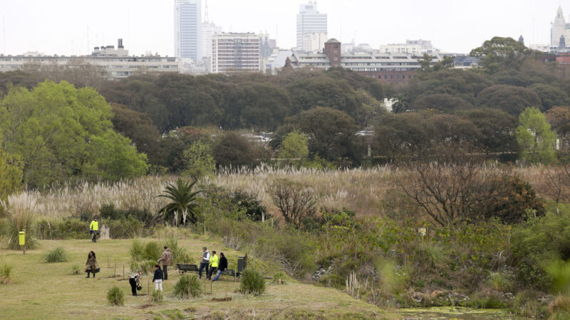 Propuestas gratuitas para todas las edades en reservas y jardines de la Ciudad