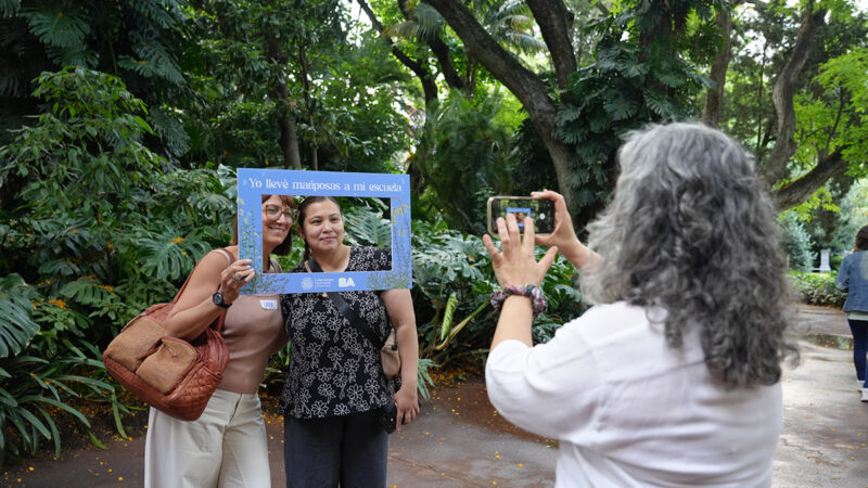 La Ciudad impulsa jardines de plantas nativas para atraer mariposas en escuelas
