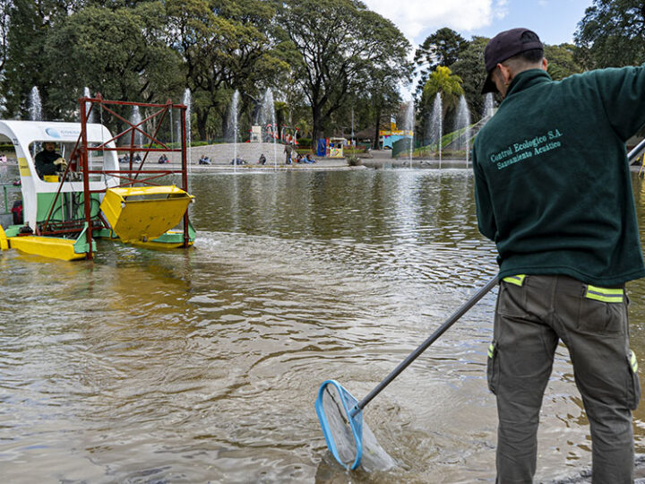Día Mundial de los Lagos: cómo se cuidan los espejos de agua de la Ciudad